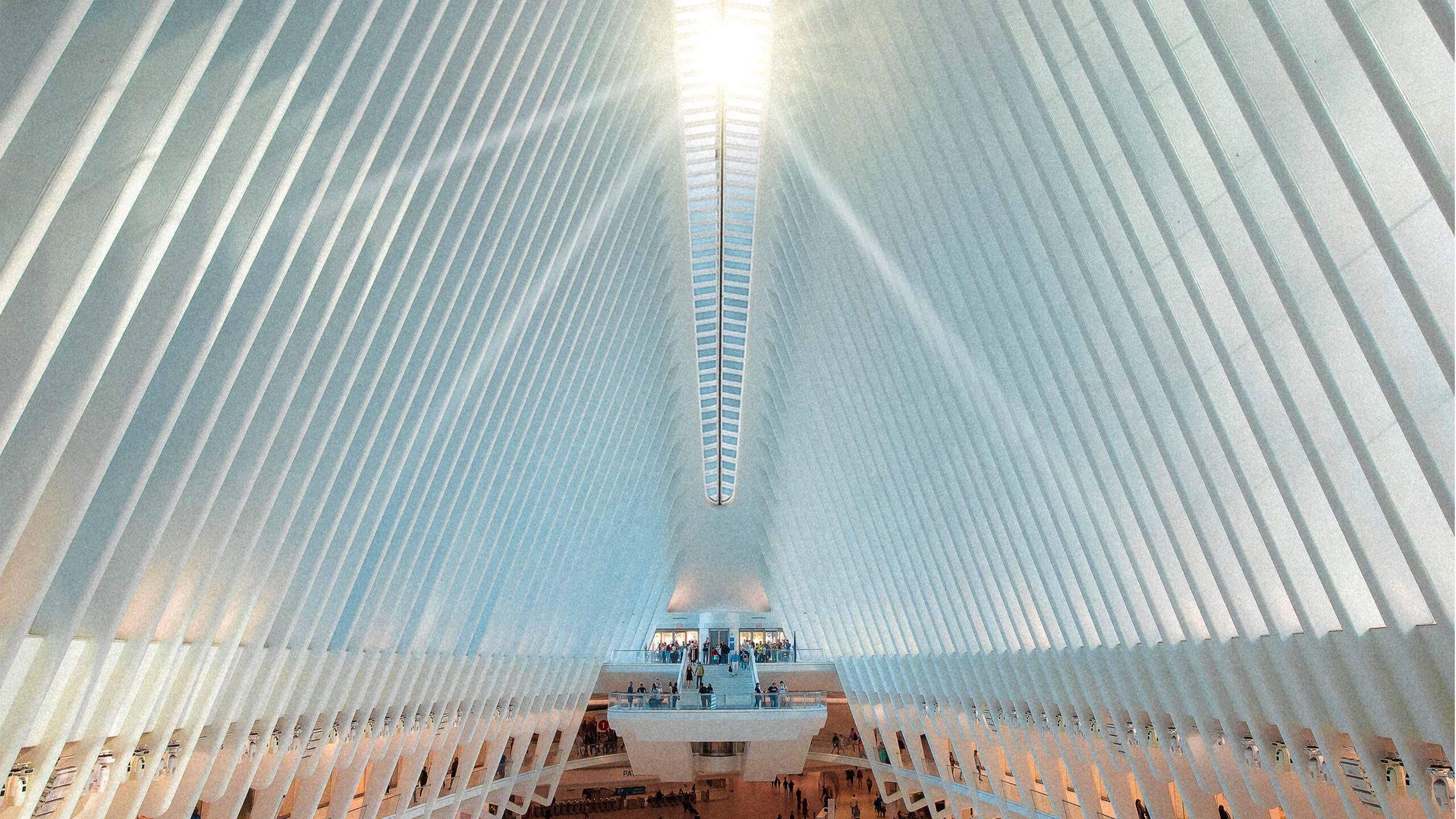 ceiling of the Oculus with sunlight streaming through