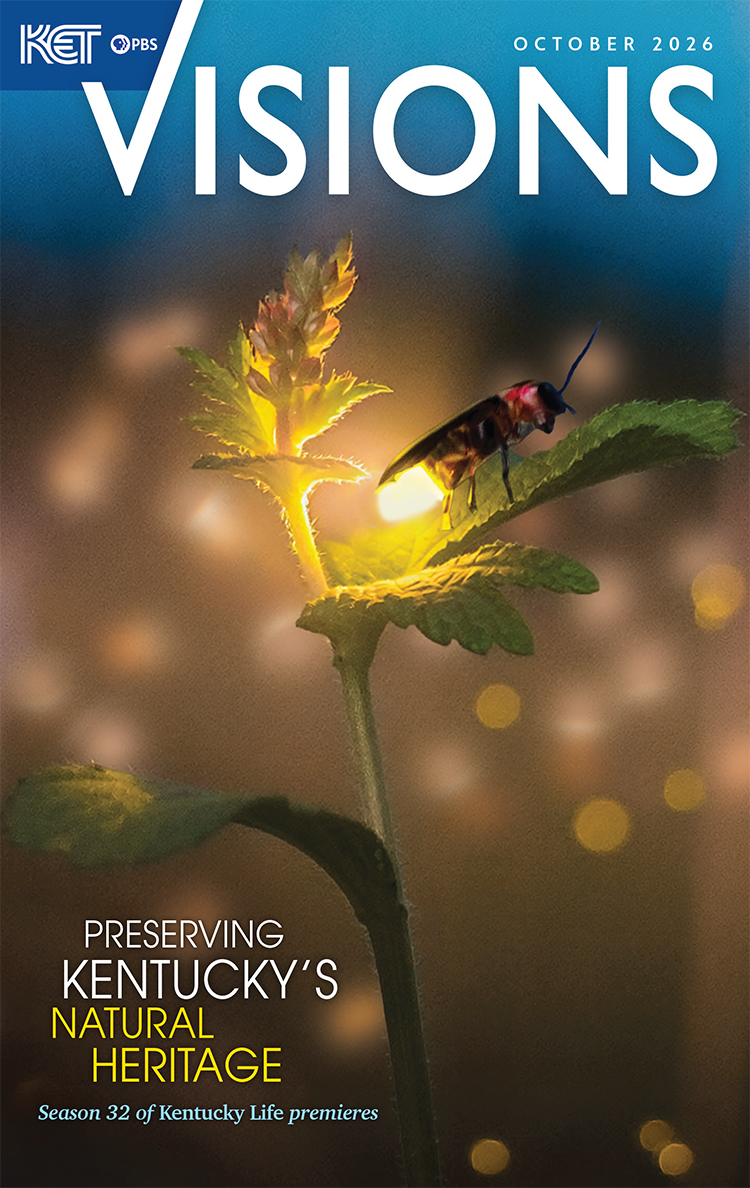 The cover of the October 2026 edition of Visions magazine shwoing a lightning bug lit up on the leaves of a plant