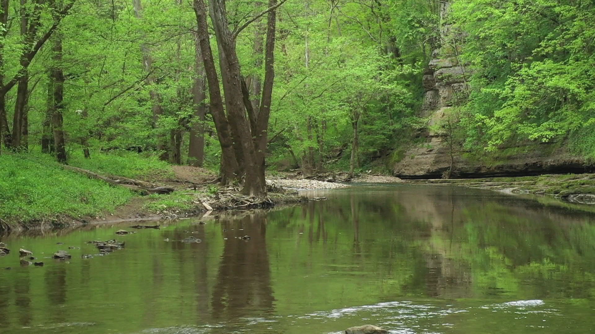 A creek flows through a wooded area in one of Kentucky's nature preserves.