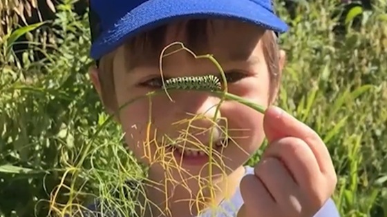 young child wearing a blue ball cap holds a piece of grass with a caterpillar up in front of their face